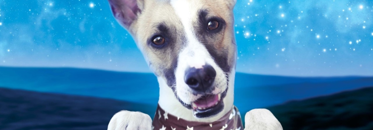 GUMP - FILM KINO VARŠAVA