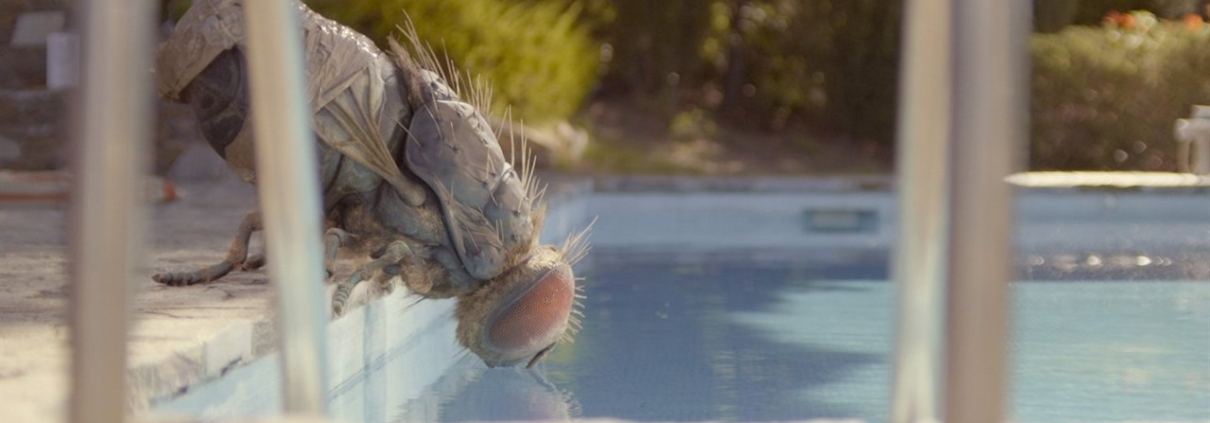 MOUCHA V KUFRU - film Kino VARŠAVA