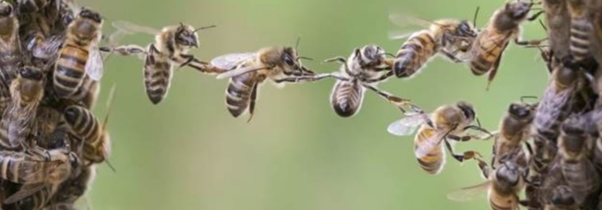 VŠECHNO DOBŘE DOPADNE - film Kino Varšava