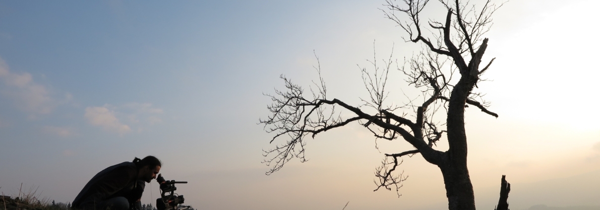 JESENÍKY - KRÁLOVSTVÍ HORSKÉ DIVOČINY - film Kino Varšava