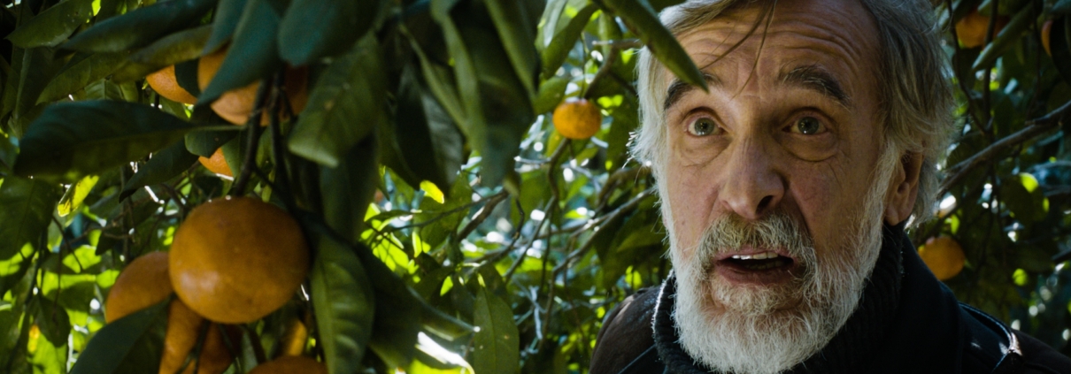 MANDARINKY / MANDARIINID *NISA FILM FESTIVAL