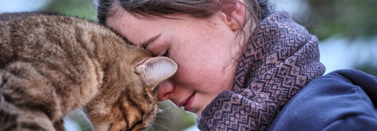 ŽIVOT KOTĚTE - film Kino Varšava