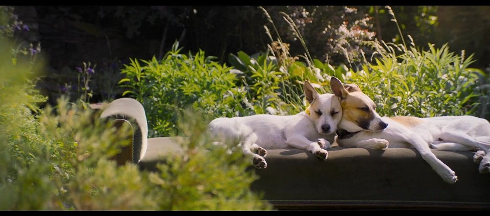 GUMP - JSME DVOJKA - film Kino Varšava