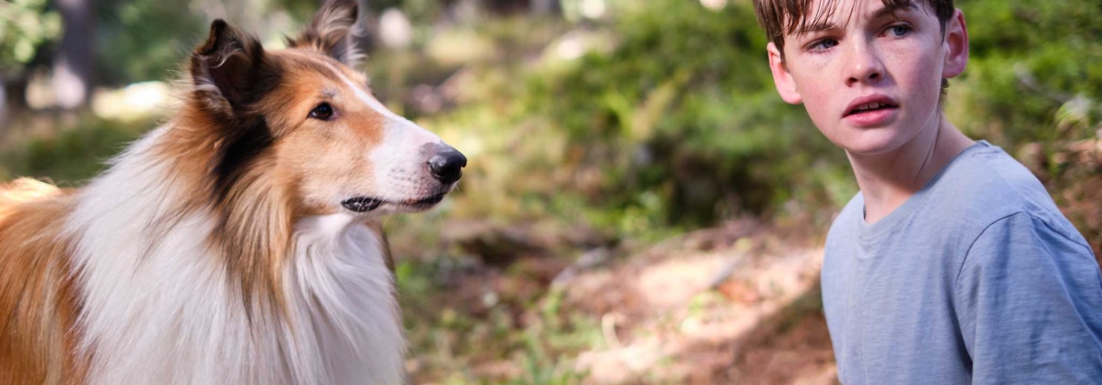 LASSIE: NOVÉ DOBRODRUŽSTVÍ - film Kino Varšava